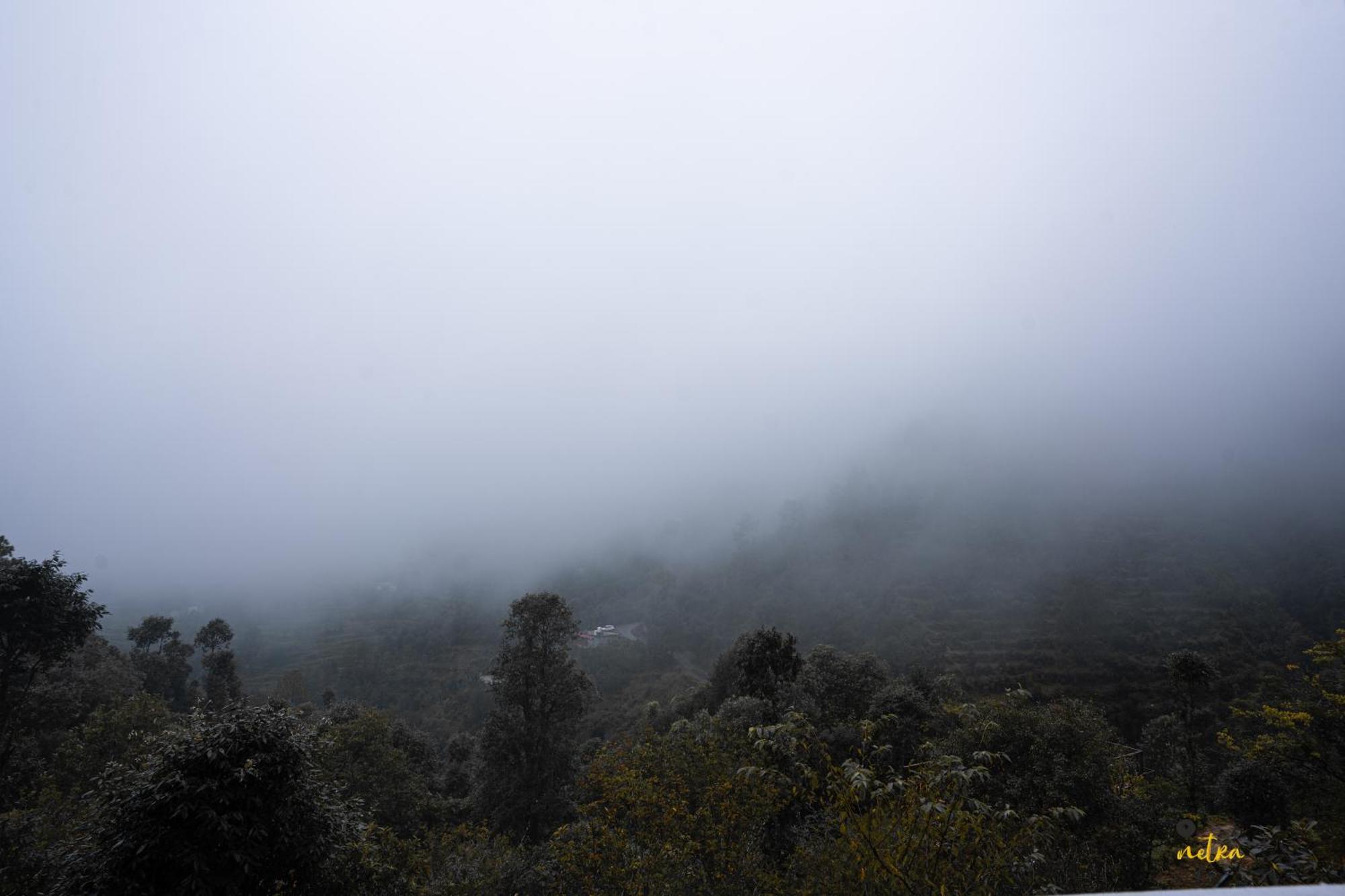 The Rare One'S Mukteshwar - Resort & Cafe Exterior photo